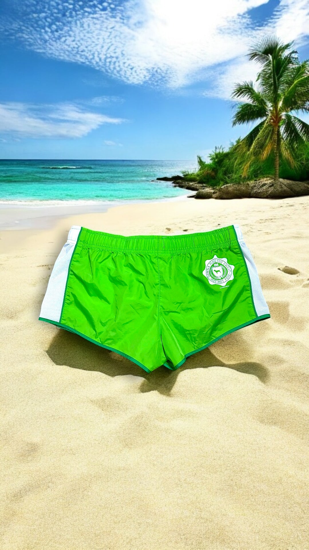 Y2K Victoria’s Secret Pink label beach shorts women’s (S)