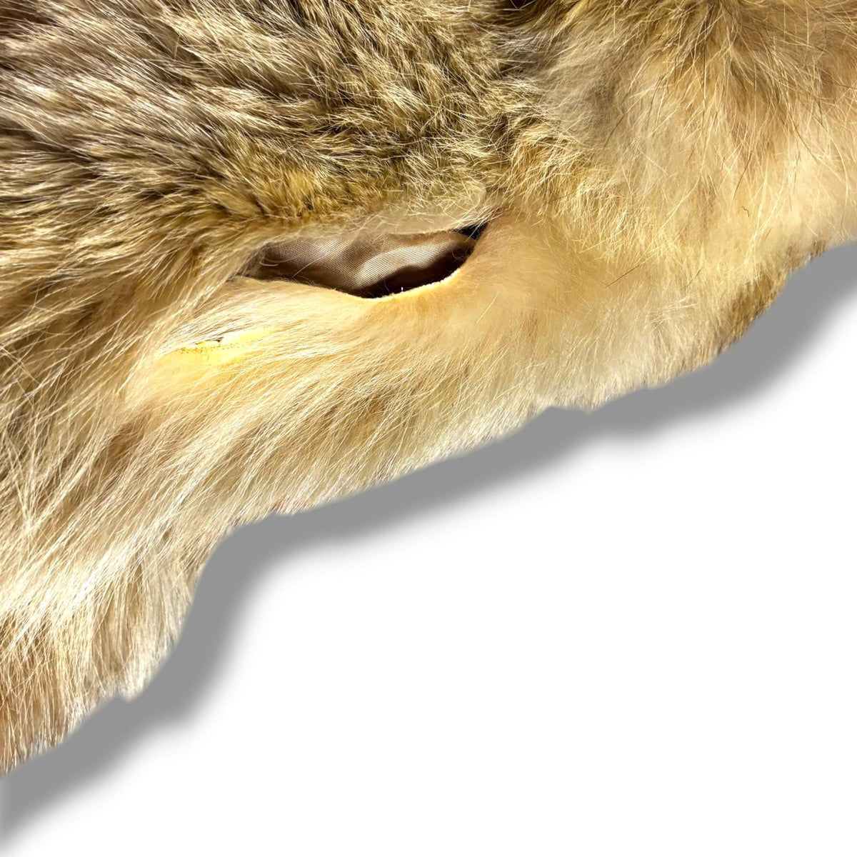 real Fur coat - coyote jacket - Size L - vintage clothing - thrift store - thrift stores near me - thrift shopping near me - y2k -
thrift shops near me - thrifting near me - thrift near me - thrifting shops near me
y2k fashion - y2k clothing - y2k outfits - y2k style - thrift shop 